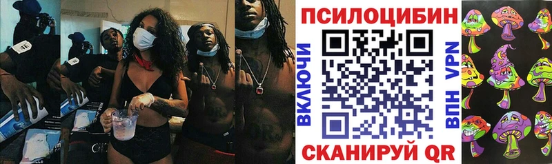 Галлюциногенные грибы Magic Shrooms  Купить где  Саки 